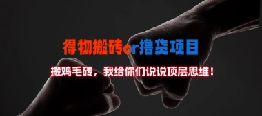 得物搬砖/撸货项目?掰下数据,我给你们说说顶层思维-